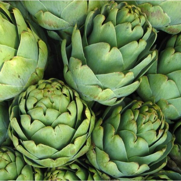 Артишок Гриб Глоуб (Artichoke Green Globe)