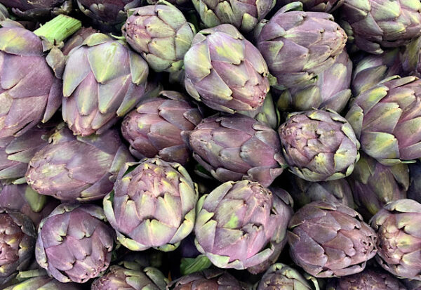 Артишок Фиолетовый (Artichoke Violet)